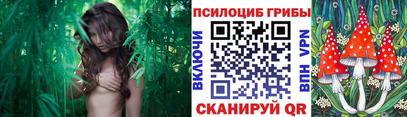 купить закладку  Игра  Галлюциногенные грибы ЛСД 